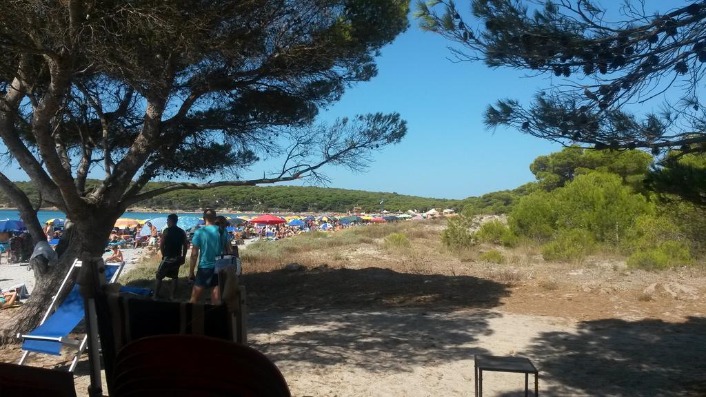 Casa Vacanze Giovanna Sant'Anna Arresi Bilik gambar